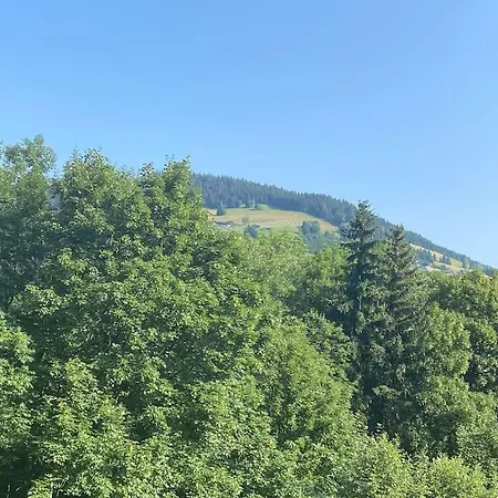 Family Cocoon Prime Rochebrune Location