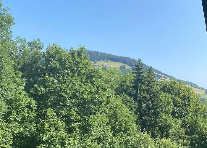 Family Cocoon Prime Rochebrune Location